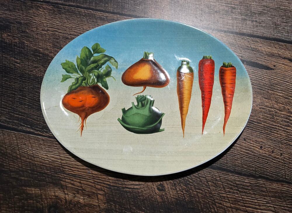 John Derian Company for Target Root Vegetables Oval Stoneware Serving Platter